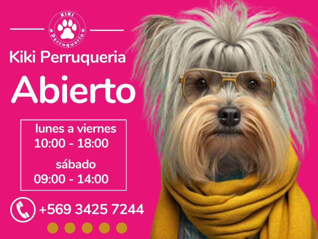 Imagen informativa: Horarios de atencion Peluqueria canina San pedro de la Paz  Andalue Huertos familiares