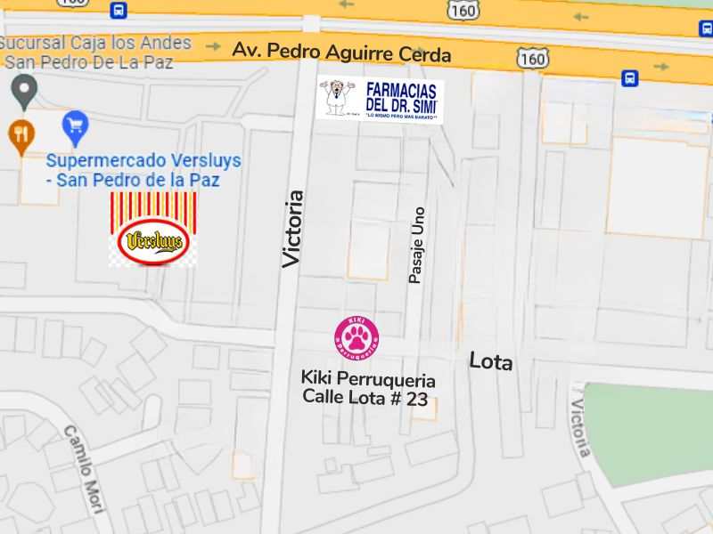 Imagen informativa: Ubicacion Google maps cerca de mi peluqueria canina San Pedro de la Paz Concepcion