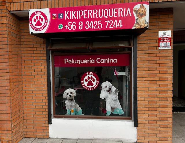 Imagen informativa: Ubicacion peluqueria canina San Pedro de la Paz Peluqueria canina en Andalue